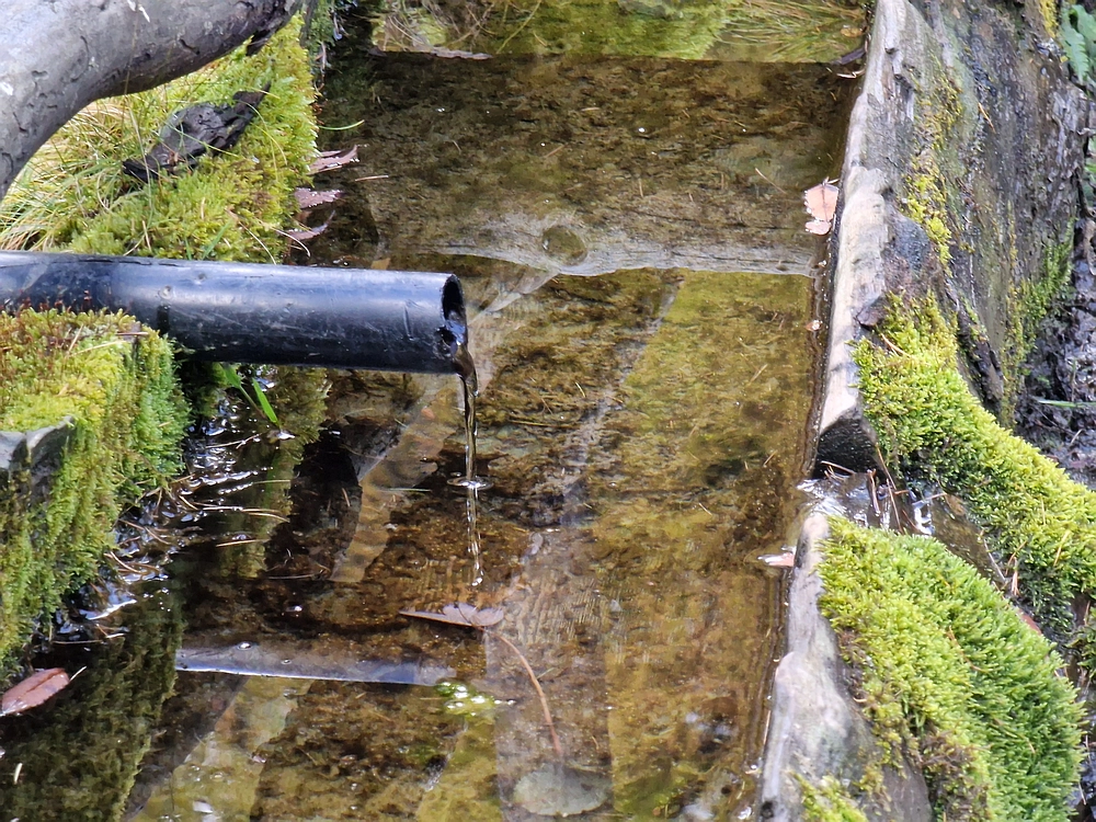 Križevnik, 18. 10. 2025