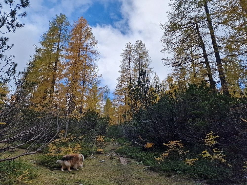 Križevnik, 18. 10. 2025