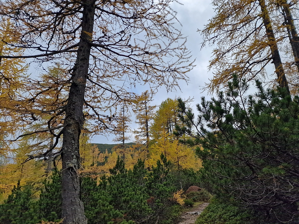 Križevnik, 18. 10. 2025