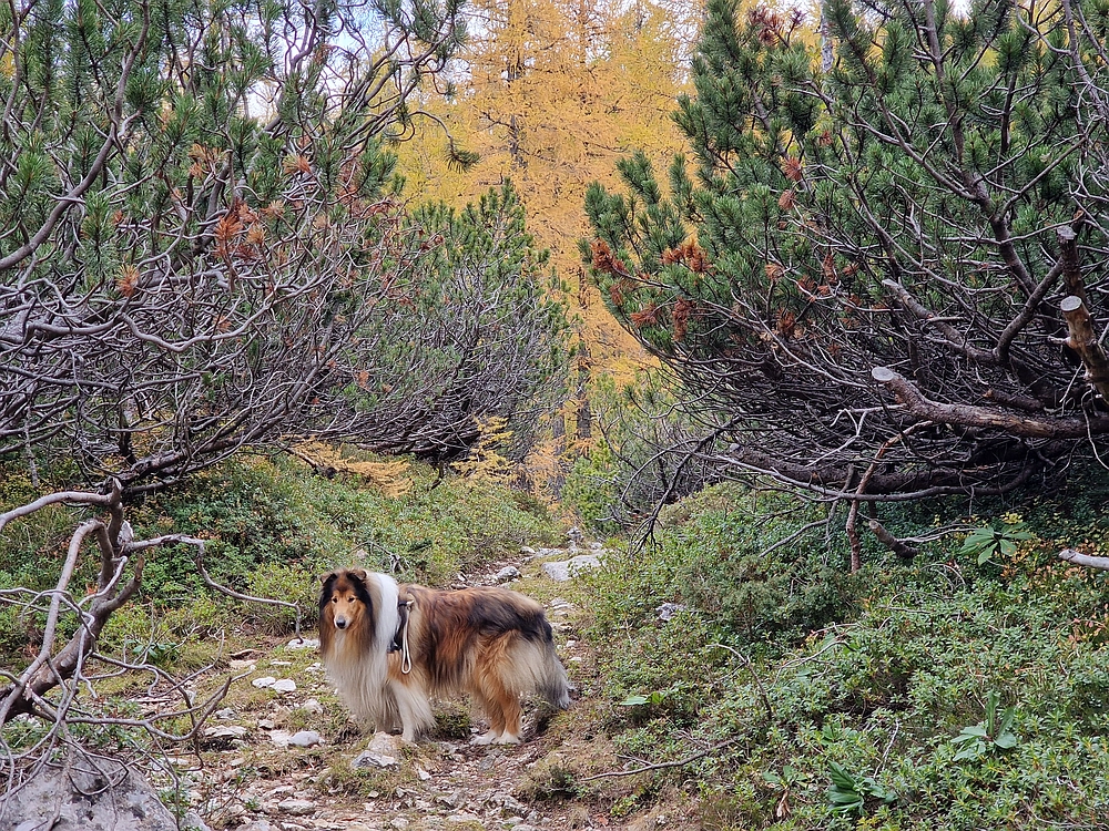 Križevnik, 18. 10. 2025