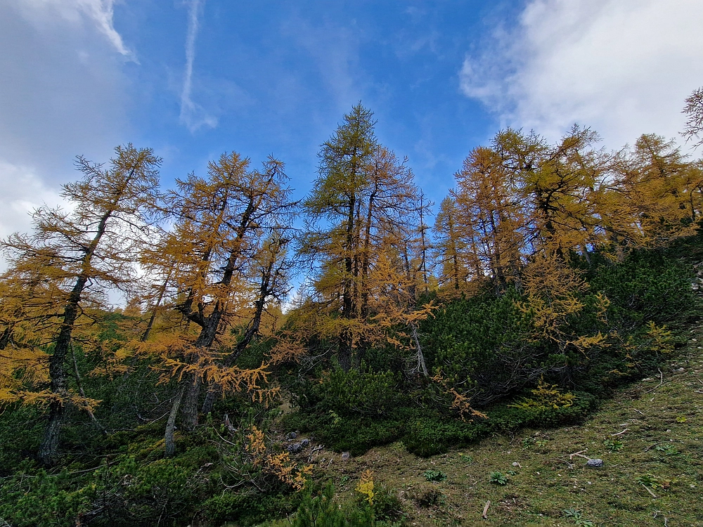 Križevnik, 18. 10. 2025