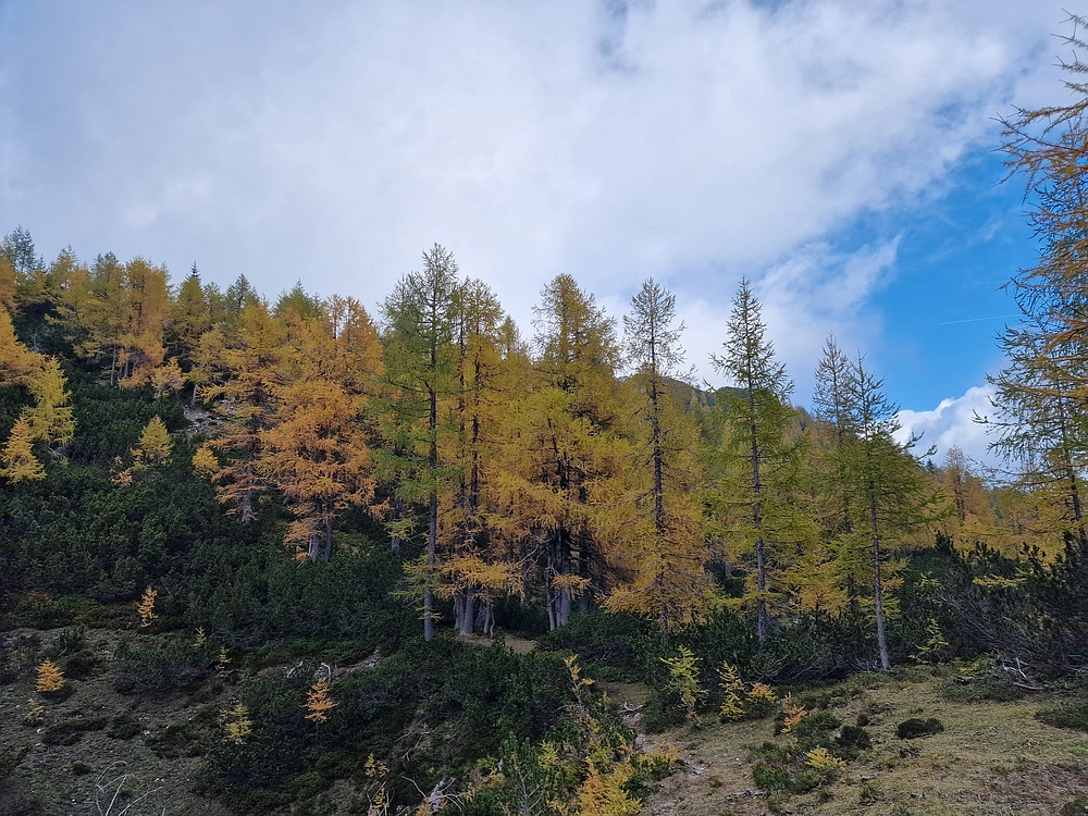 Križevnik, 18. 10. 2025