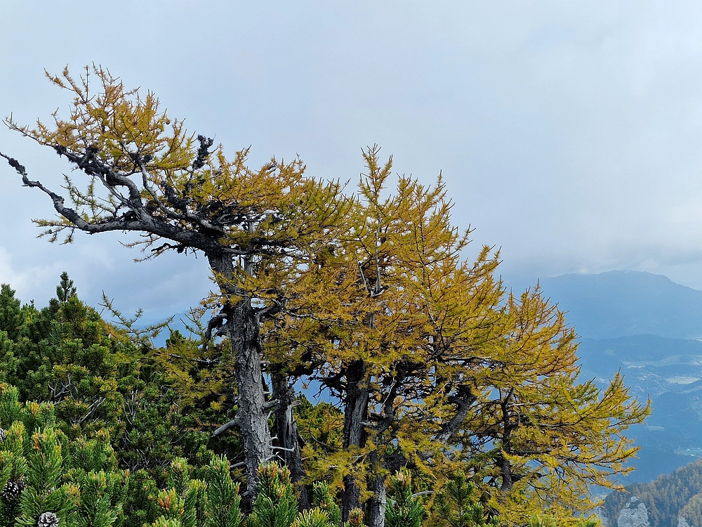Križevnik, 18. 10. 2025