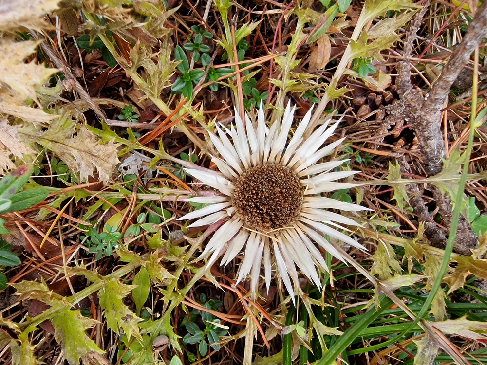 Križevnik, 18. 10. 2025