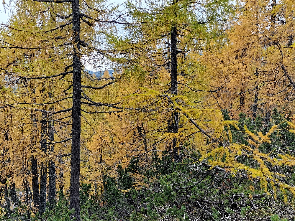 Križevnik, 18. 10. 2025