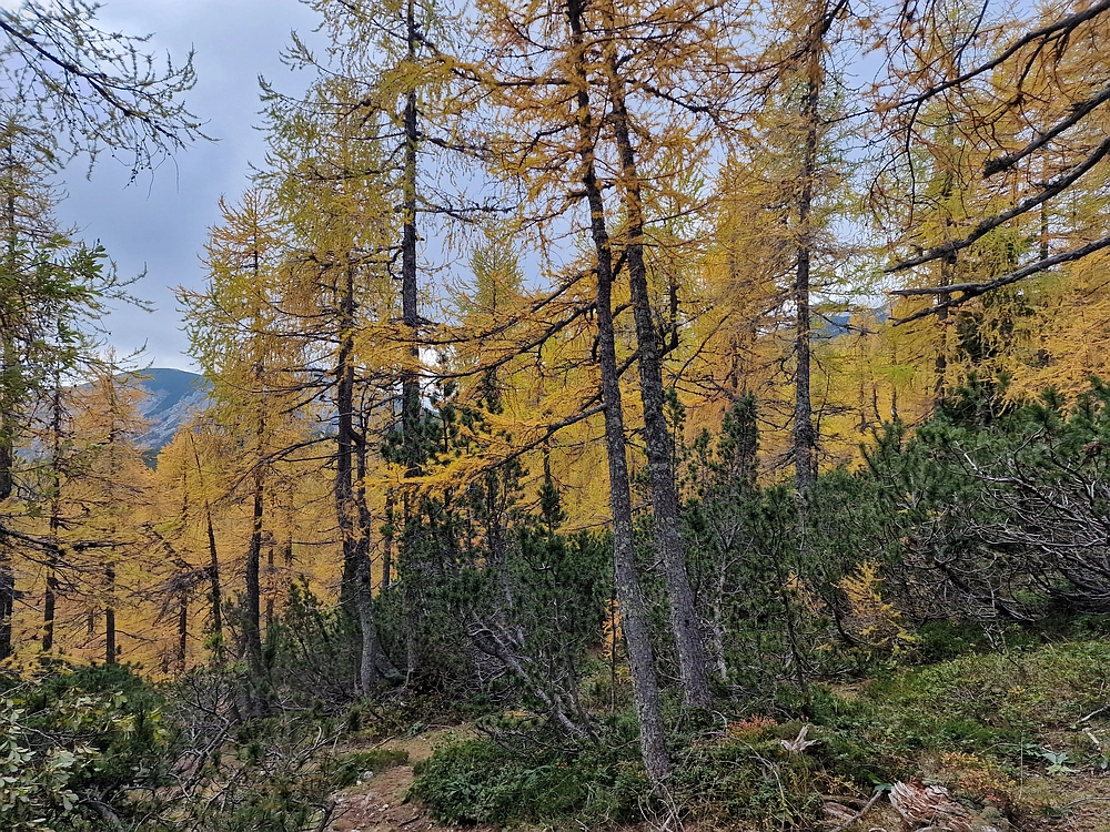 Križevnik, 18. 10. 2025