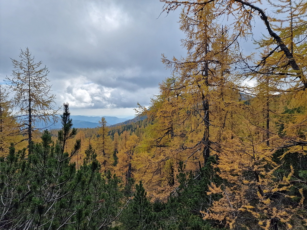 Križevnik, 18. 10. 2025