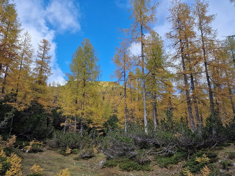 Križevnik, 18. 10. 2025