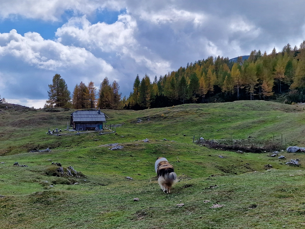 Križevnik, 18. 10. 2025