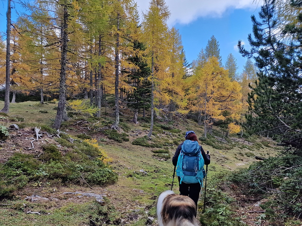 Križevnik, 18. 10. 2025