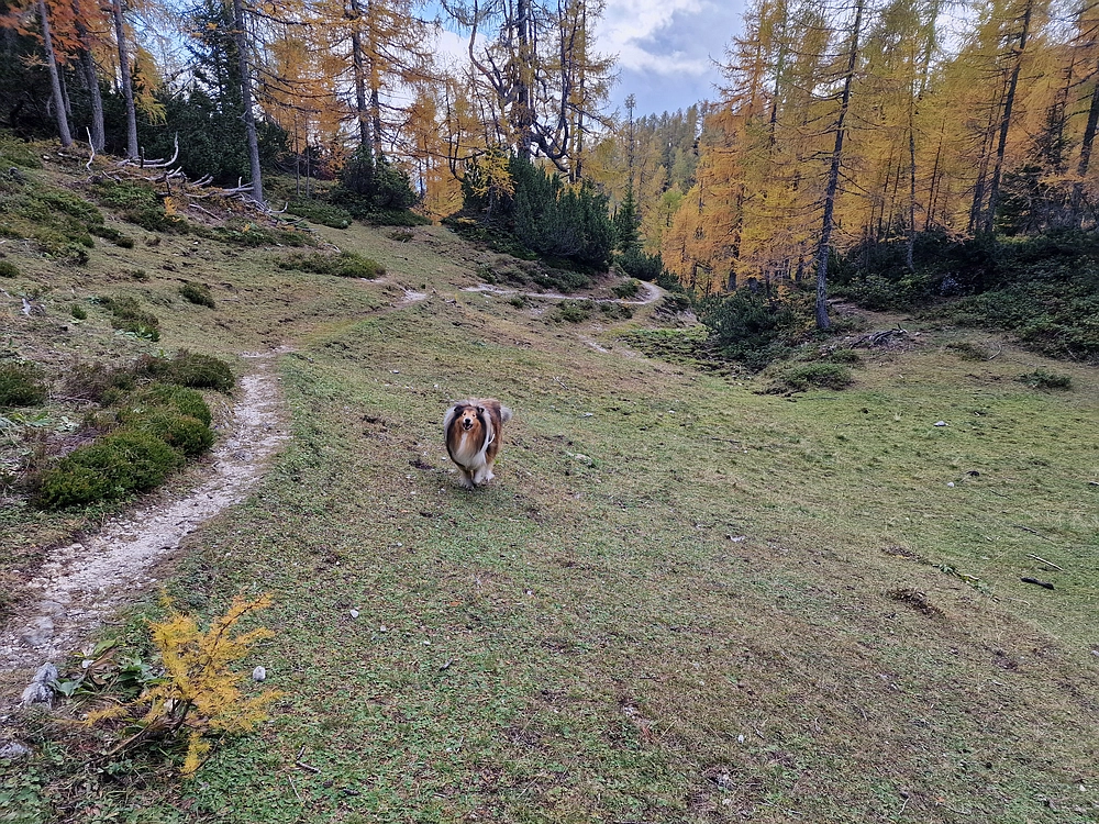 Križevnik, 18. 10. 2025