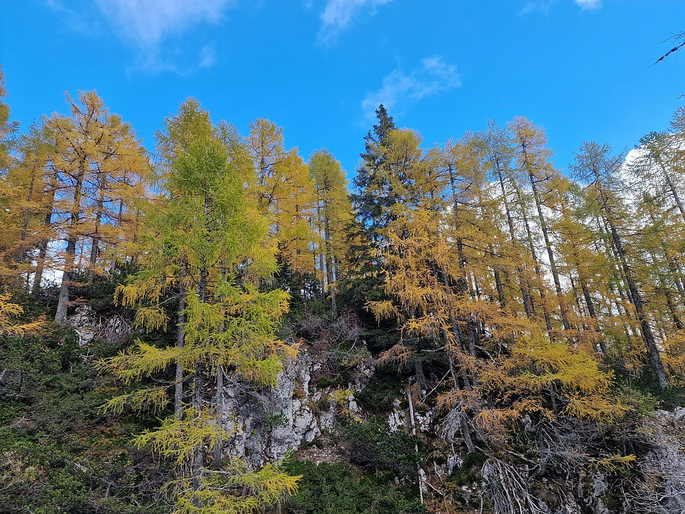 Križevnik, 18. 10. 2025