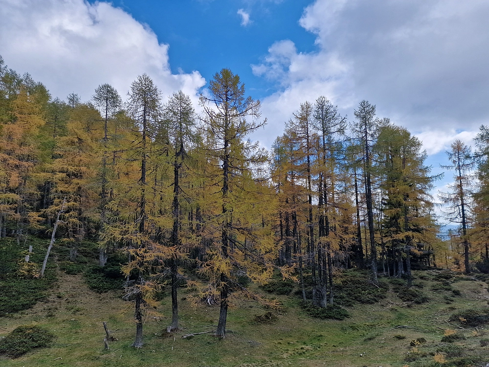 Križevnik, 18. 10. 2025