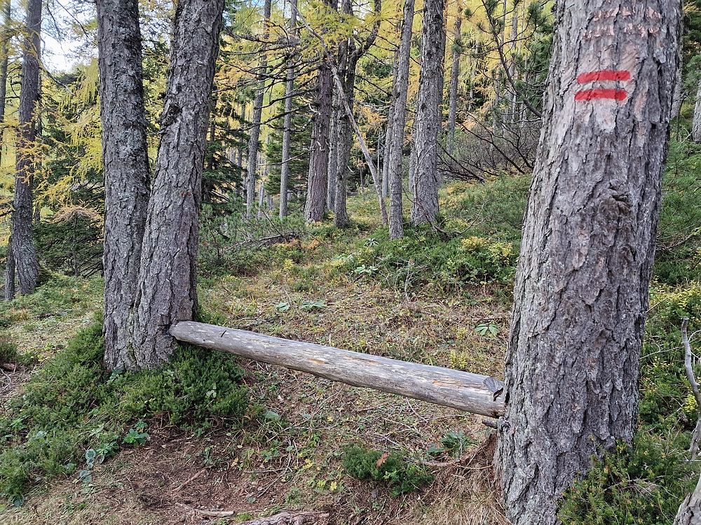 Križevnik, 18. 10. 2025