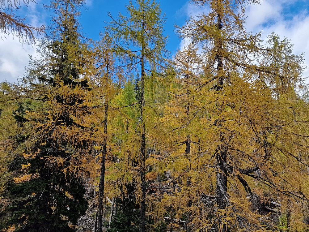 Križevnik, 18. 10. 2025