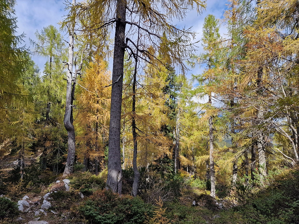 Križevnik, 18. 10. 2025