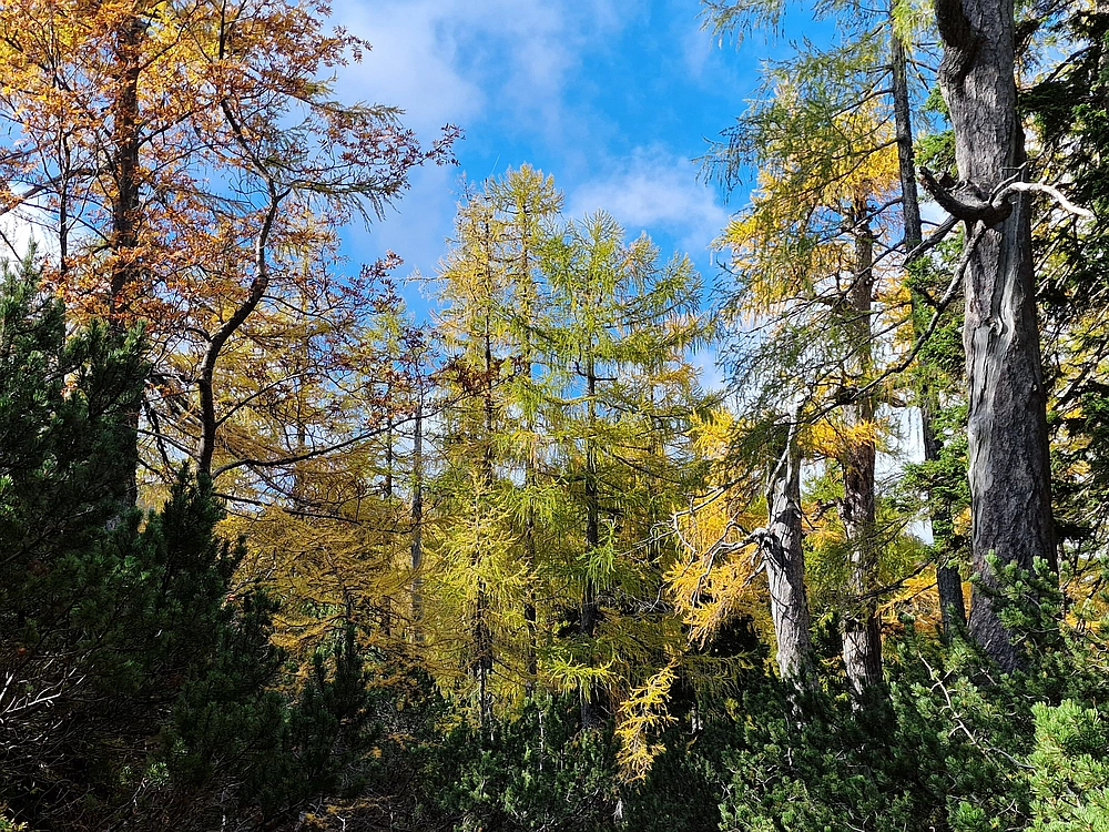 Križevnik, 18. 10. 2025