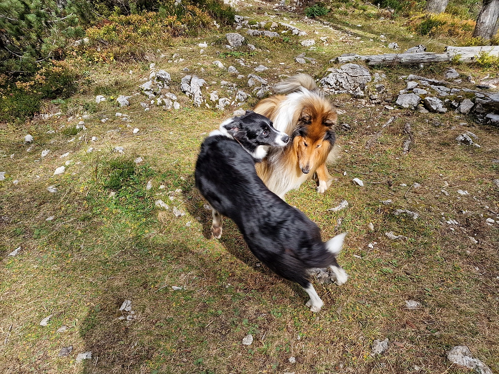 Križevnik, 18. 10. 2025