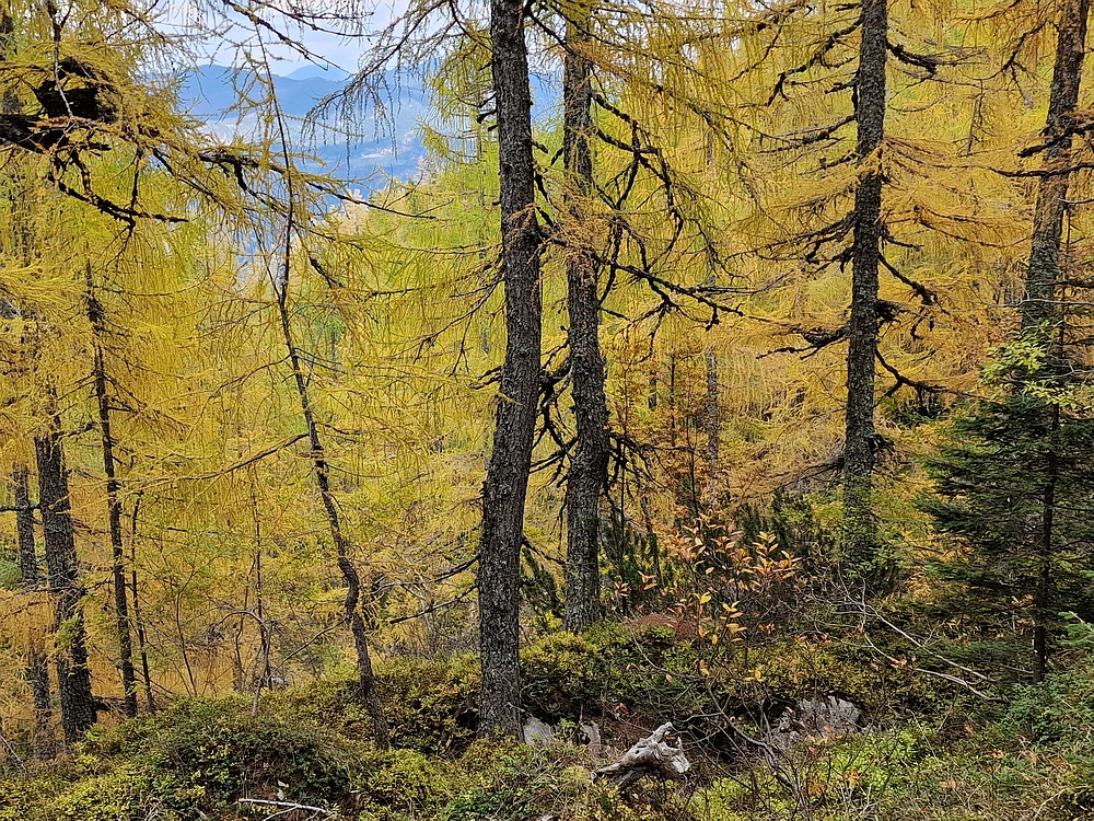 Križevnik, 18. 10. 2025