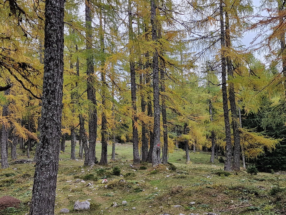 Križevnik, 18. 10. 2025