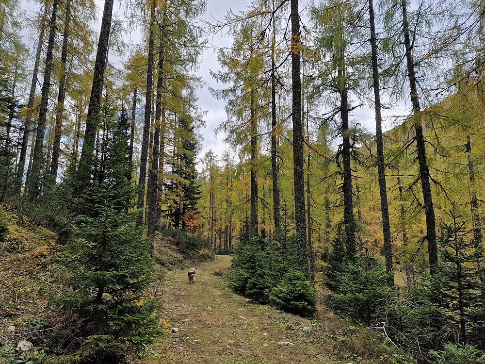 Križevnik, 18. 10. 2025