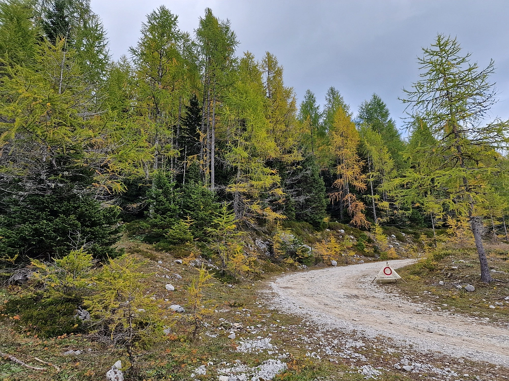 Križevnik, 18. 10. 2025