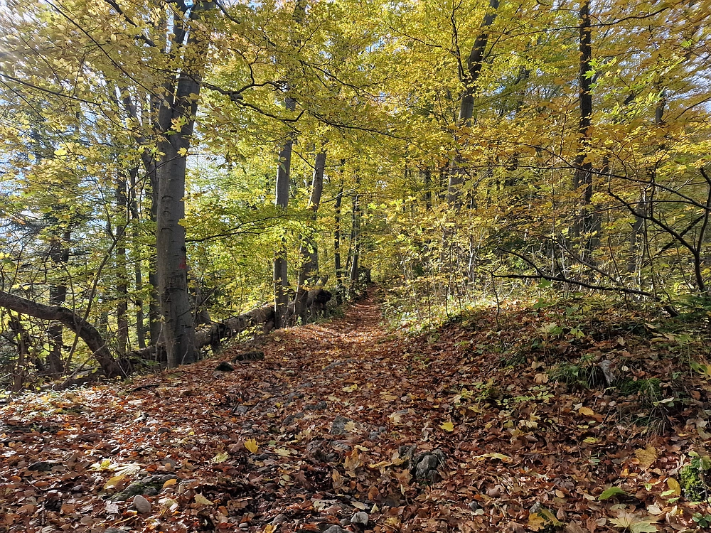 Mrzlica, 25. 10. 2025