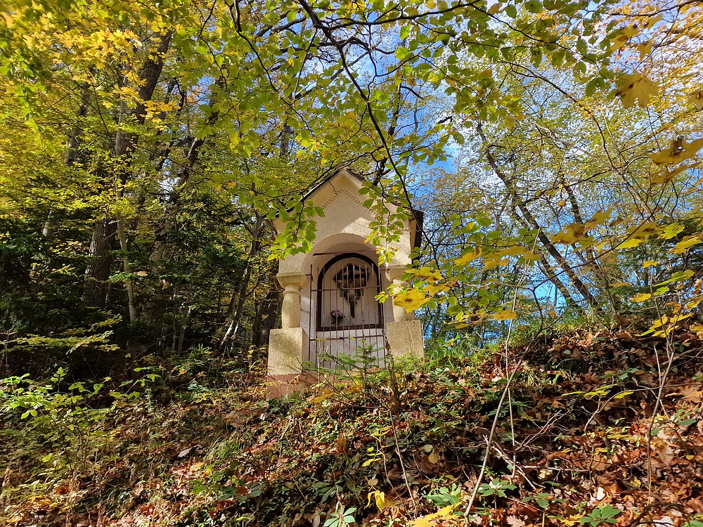 Mrzlica, 25. 10. 2025