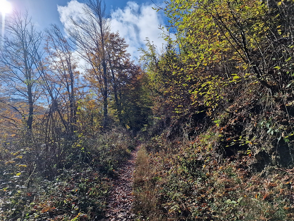 Mrzlica, 25. 10. 2025