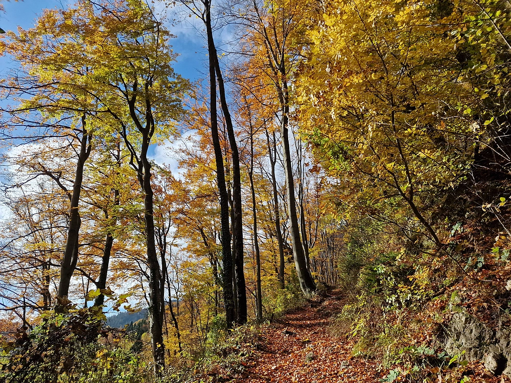 Mrzlica, 25. 10. 2025