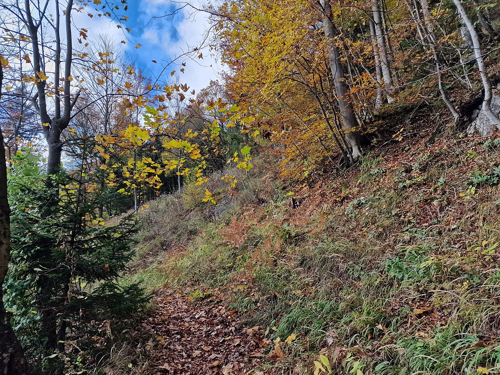 Mrzlica, 25. 10. 2025