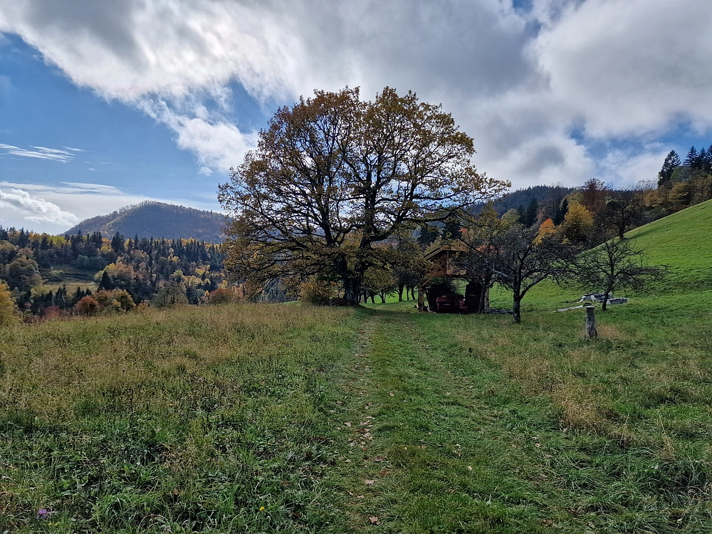 Mrzlica, 25. 10. 2025