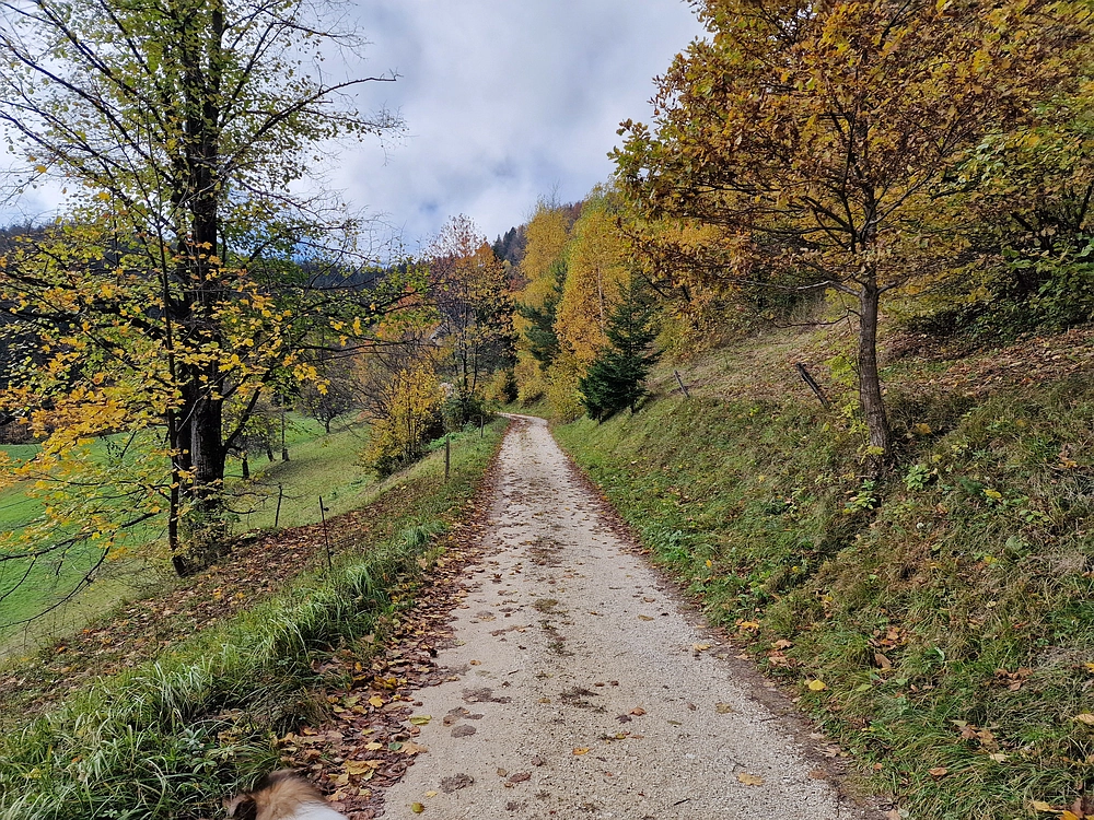 Mrzlica, 25. 10. 2025