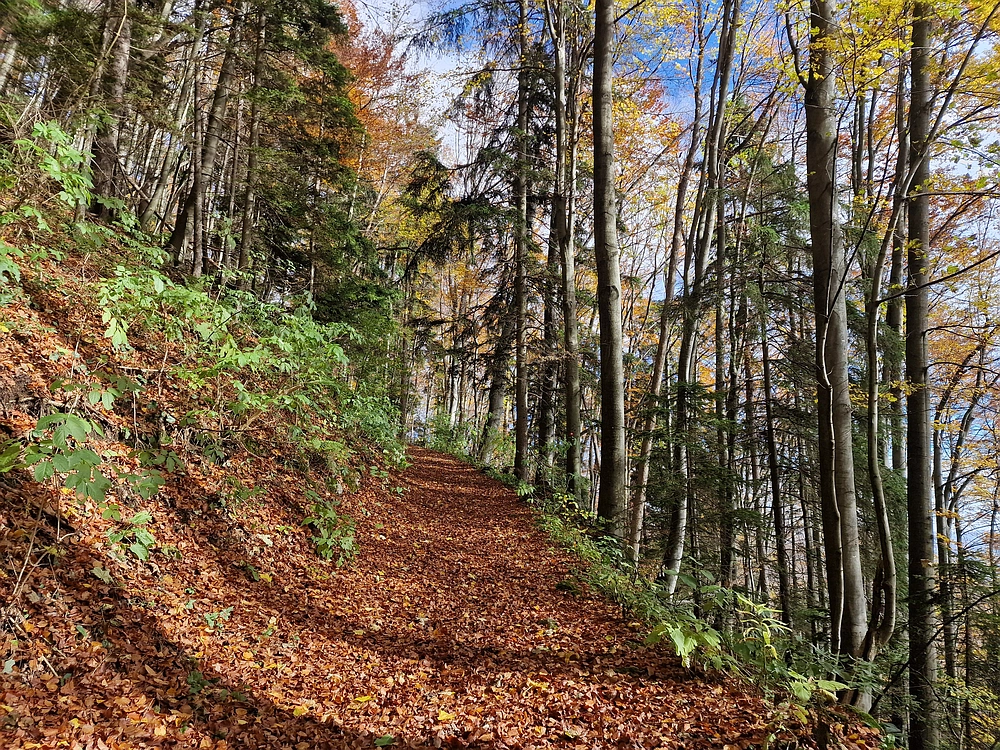 Mrzlica, 25. 10. 2025