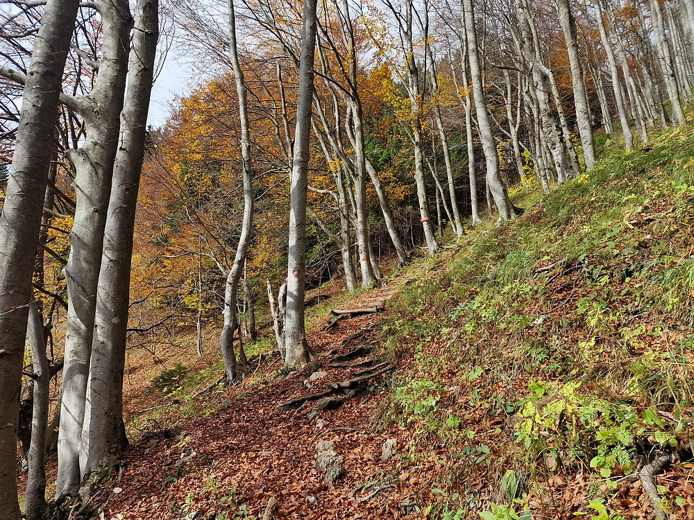 Mrzlica, 25. 10. 2025