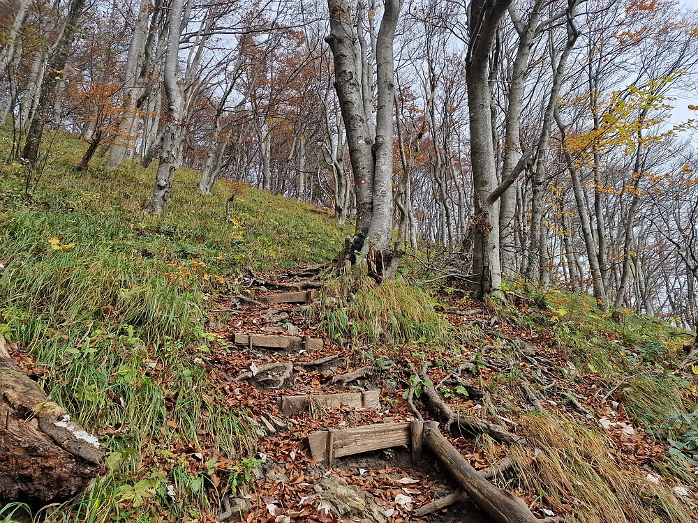 Mrzlica, 25. 10. 2025