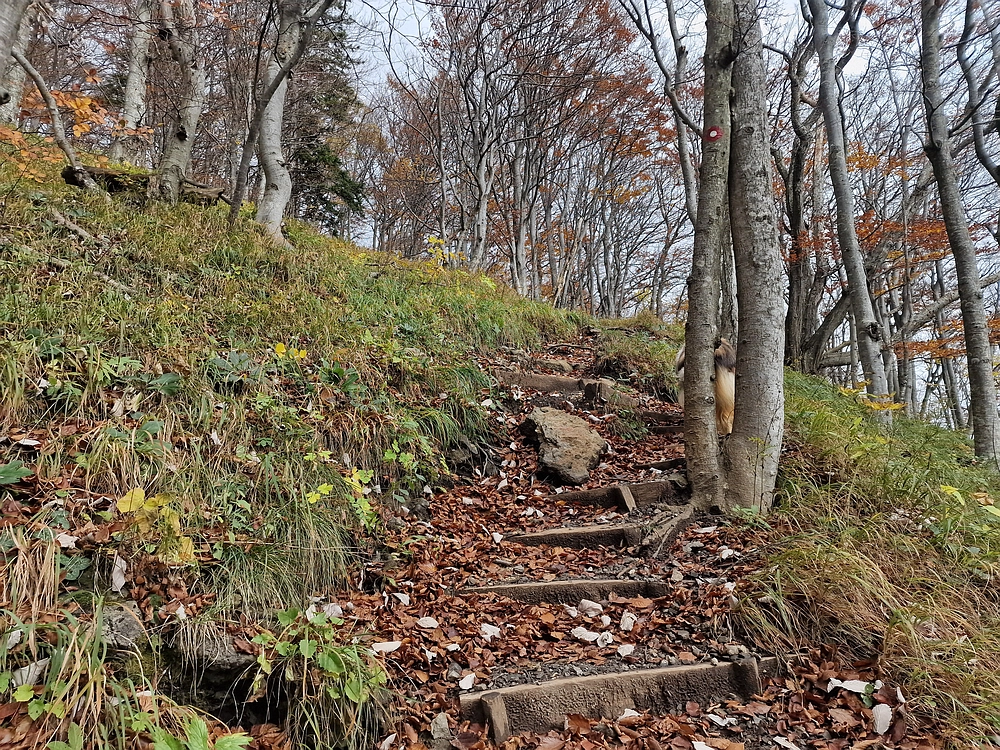 Mrzlica, 25. 10. 2025