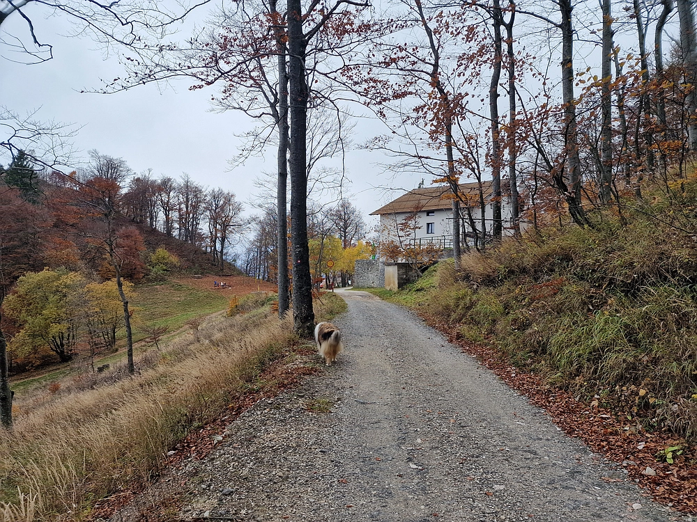 Mrzlica, 25. 10. 2025