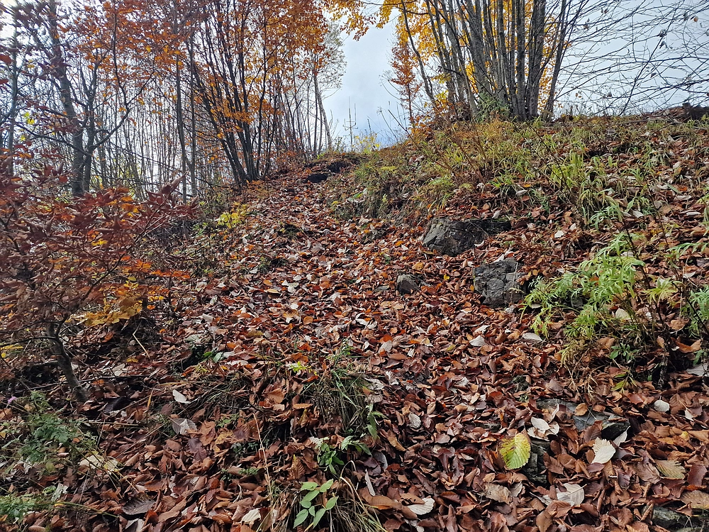 Mrzlica, 25. 10. 2025