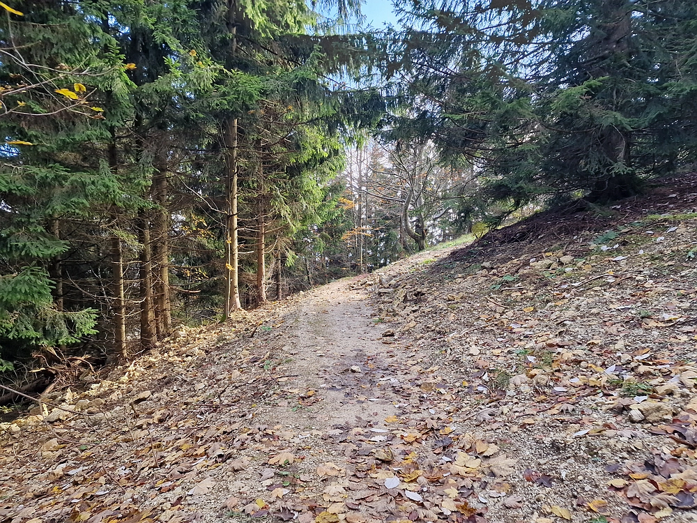 Mrzlica, 25. 10. 2025