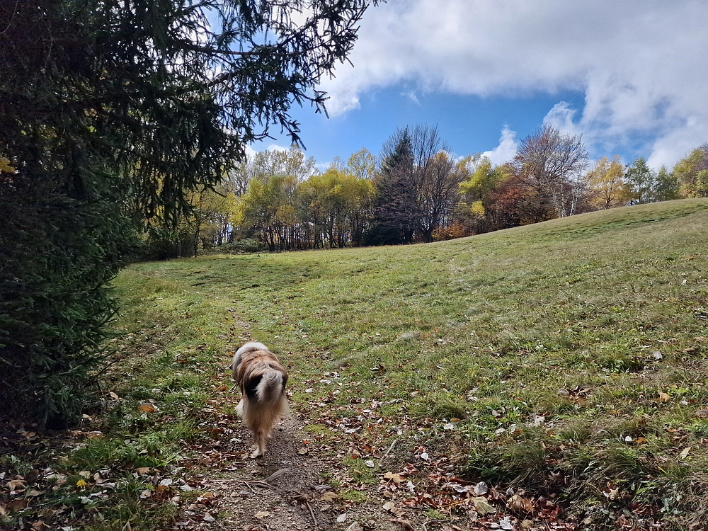 Mrzlica, 25. 10. 2025