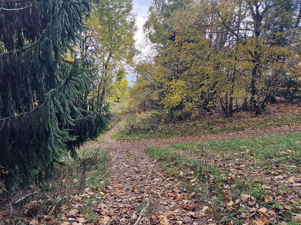 Mrzlica, 25. 10. 2025