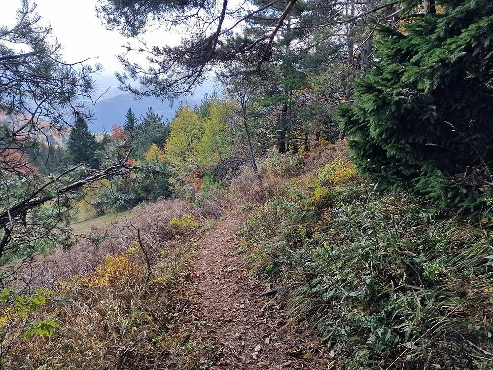 Mrzlica, 25. 10. 2025