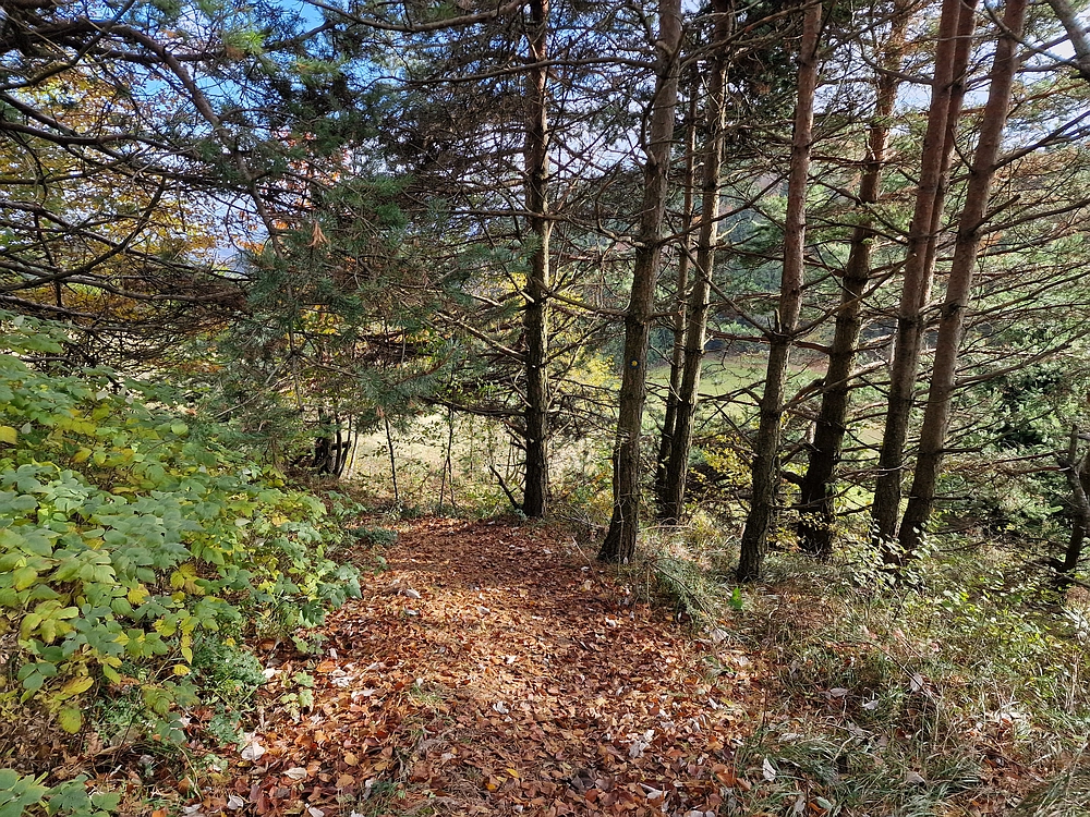 Mrzlica, 25. 10. 2025