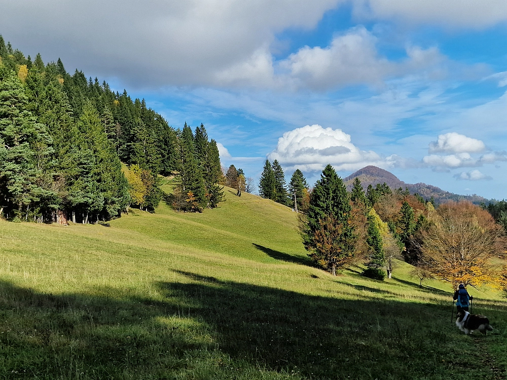 Mrzlica, 25. 10. 2025