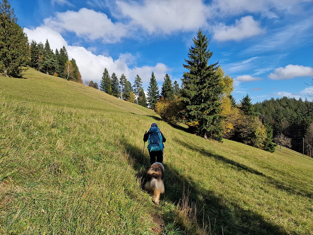 Mrzlica, 25. 10. 2025