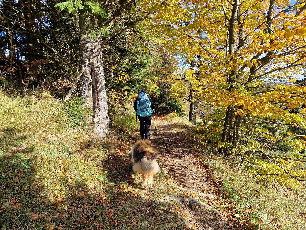 Mrzlica, 25. 10. 2025