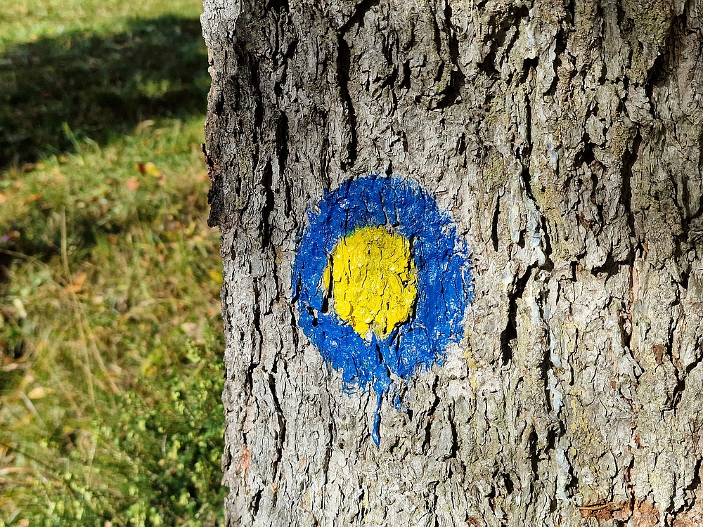 Mrzlica, 25. 10. 2025