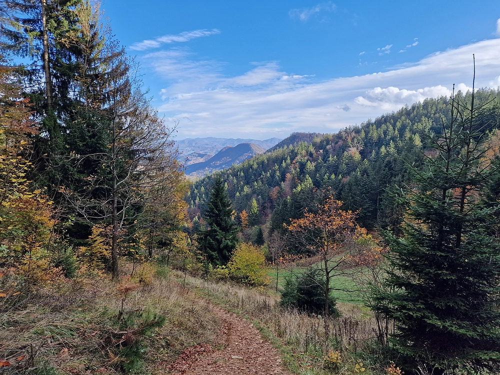 Mrzlica, 25. 10. 2025