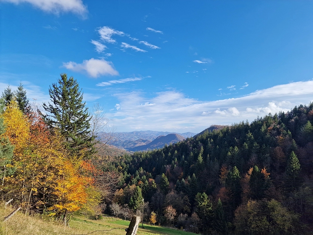 Mrzlica, 25. 10. 2025